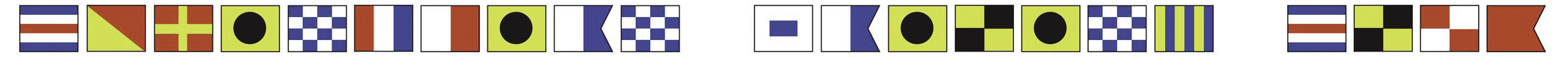 CSC Flag Banner